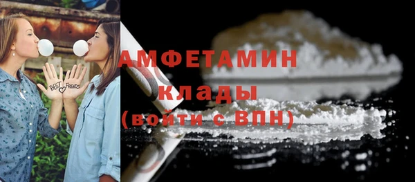 хмурый Верея
