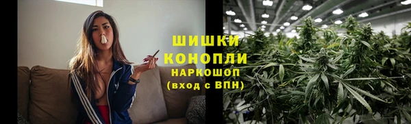хмурый Верея