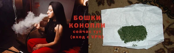 хмурый Верея