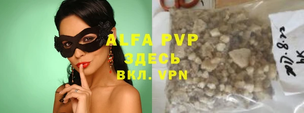 хмурый Верея