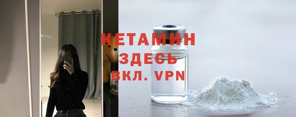 хмурый Верея