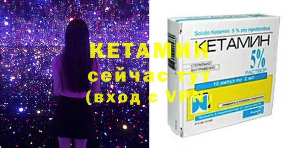 хмурый Верея