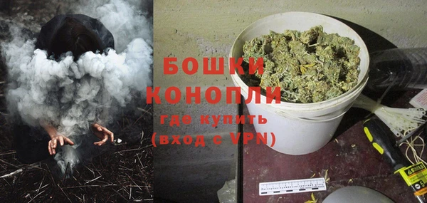 хмурый Верея