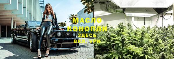 хмурый Верея