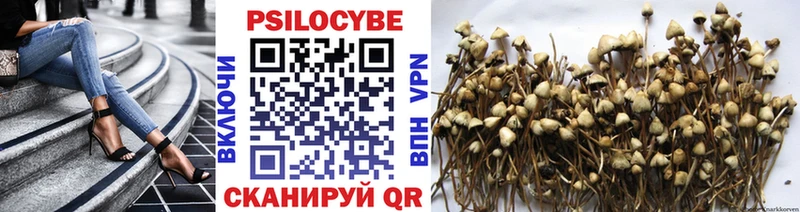 закладки  Новозыбков  Псилоцибиновые грибы прущие грибы 